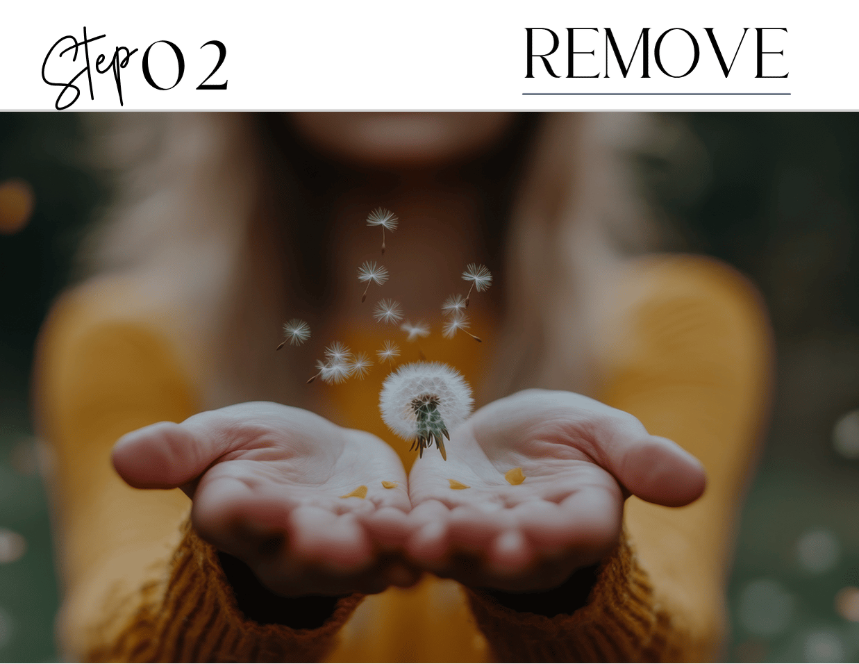Hands releasing a dandelion into the air, representing the peaceful act of letting go and laying aside spiritual burdens. | SamathaHarris.com